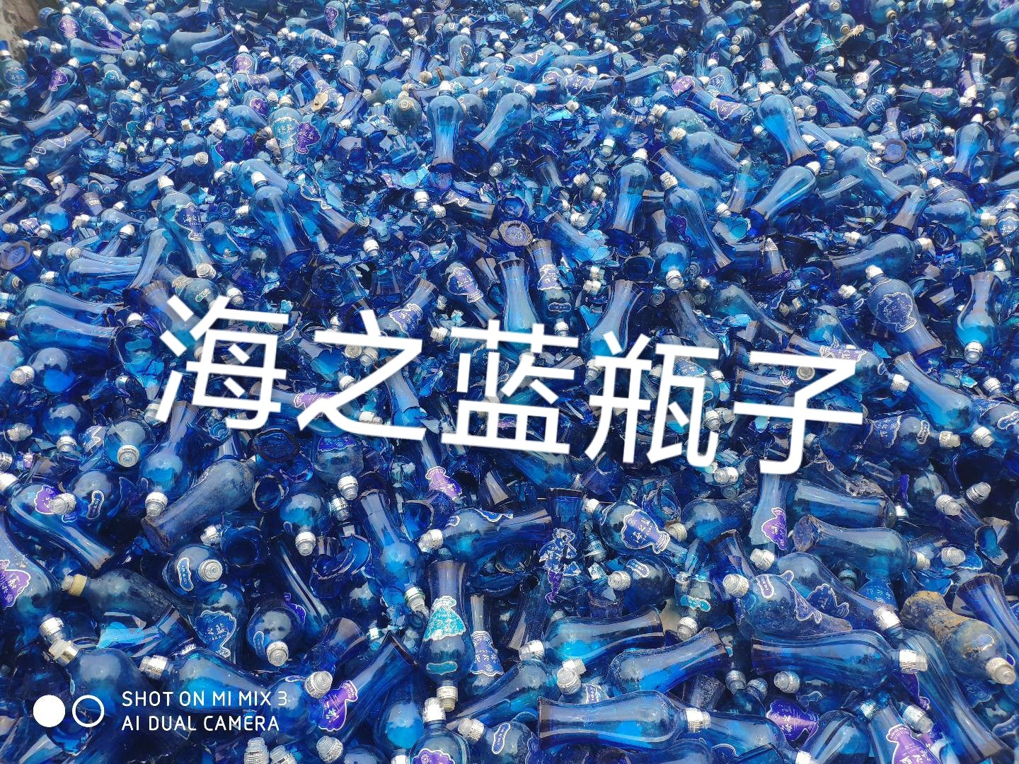 钟楼区海之蓝瓶回收