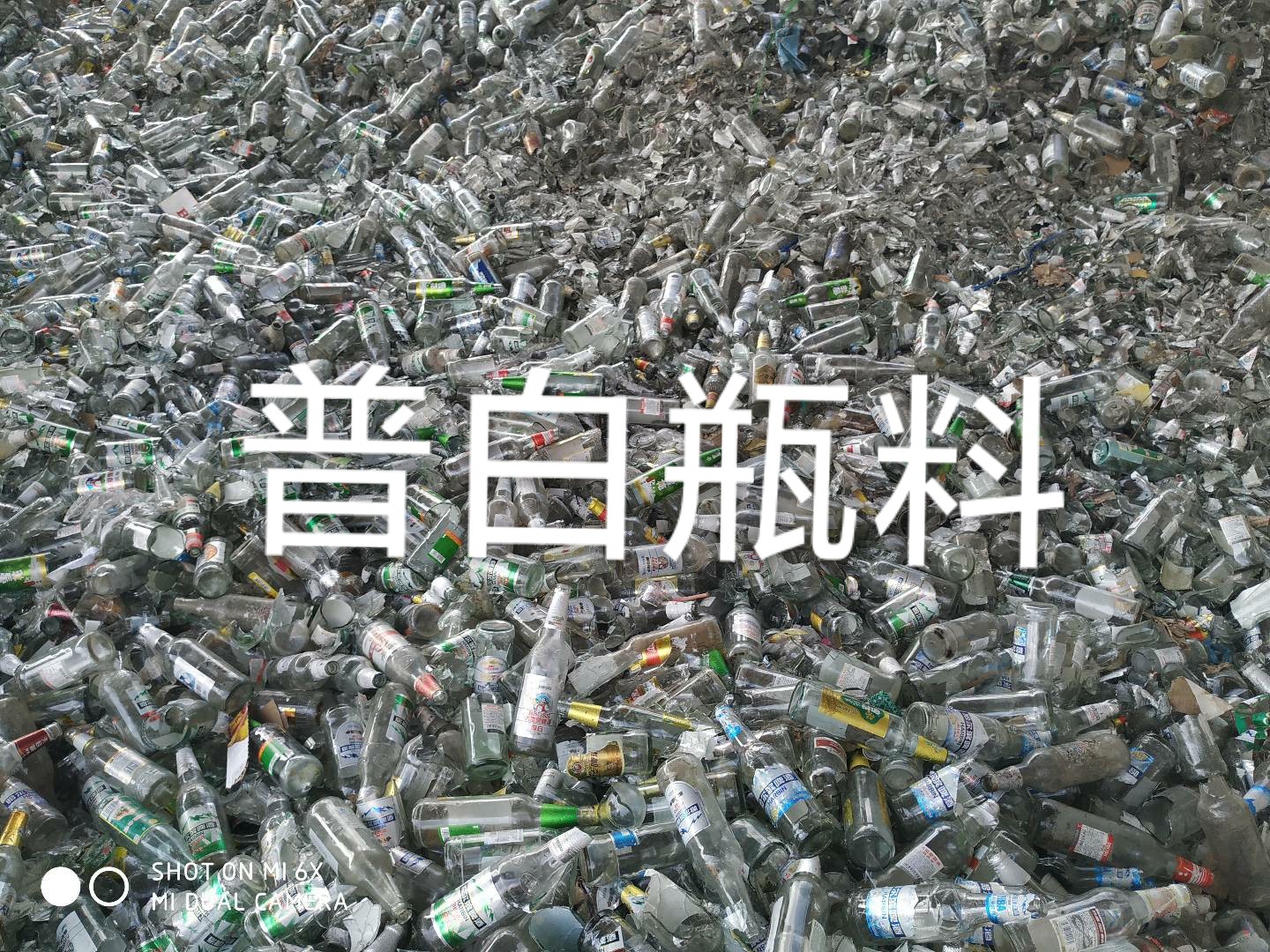 钟楼区普白瓶料回收